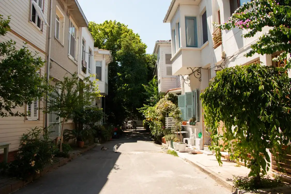 Quiet residential street with homes and trees