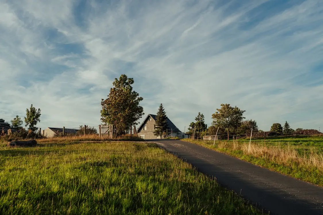 Country road with trees and open land