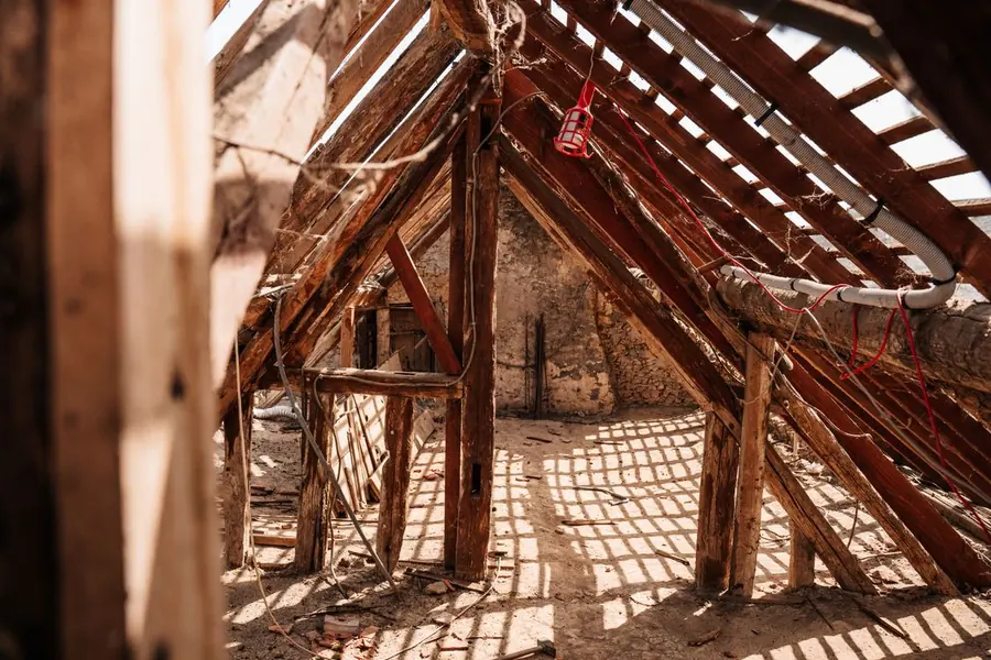 Rat droppings and gnaw marks found in a Waco attic during an inspection