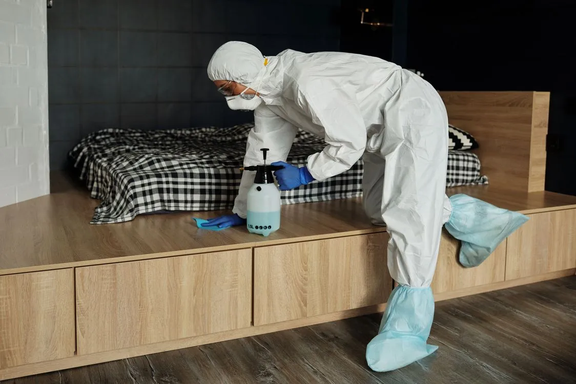 Technician cleaning rodent droppings in a Waco home