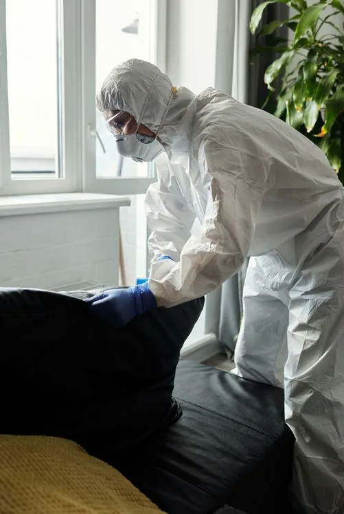 Cleaning and sanitizing an attic after rodents are removed