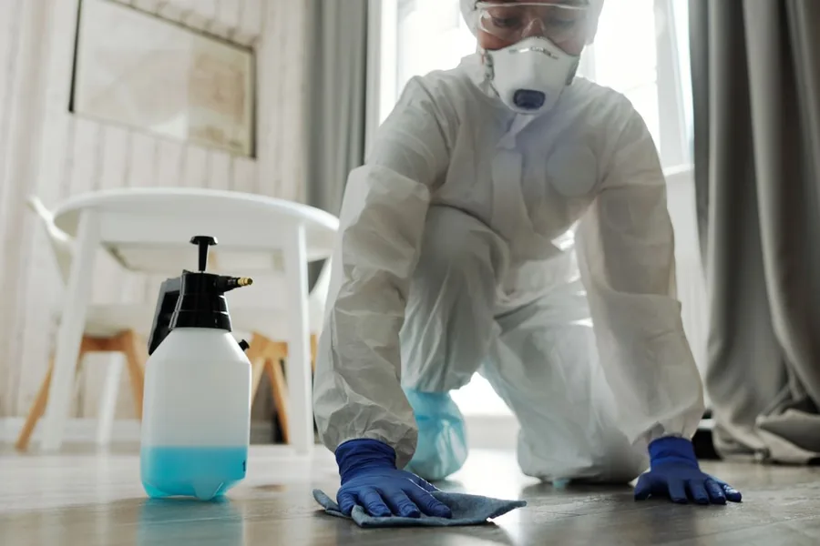 Removing rodent droppings and nesting debris safely