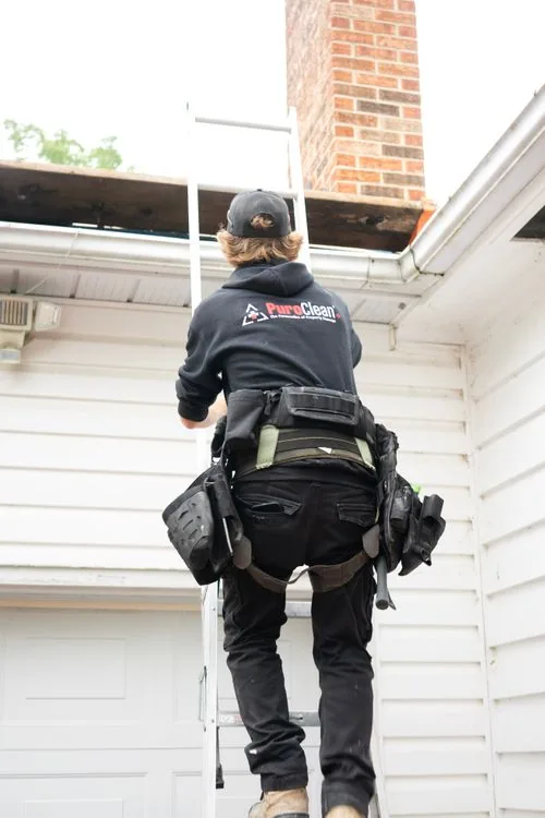 Checking the roofline and eaves for rodent entry points