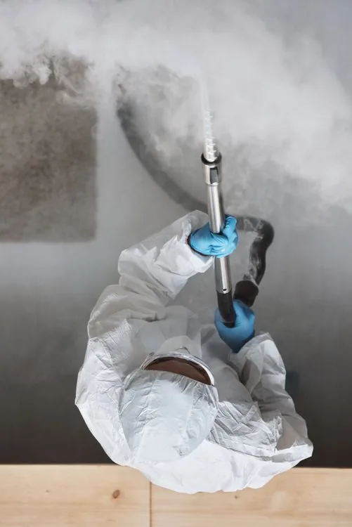 Disinfecting surfaces after rodent cleanup